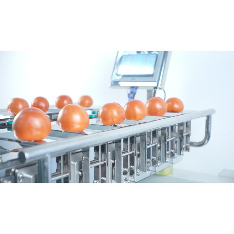 Combination Weigher Manufacturer - Semi-auto Hand Feeding Scale