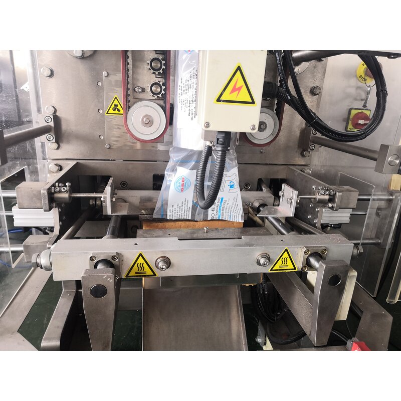 Packaging Machine Manufacturer - Single Clove Garlic Pillow Bag