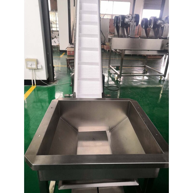 Inline Conveyor Supplier - Food Grade Cherry Fruit