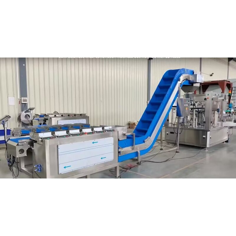 Belt Conveyor Factory - Incline Adjustable Slider Feeder