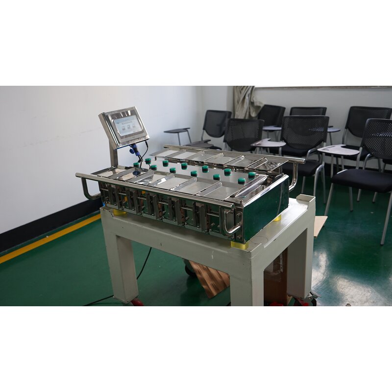 Combination Weigher Factory - Manual Multihead for Frozen Meat