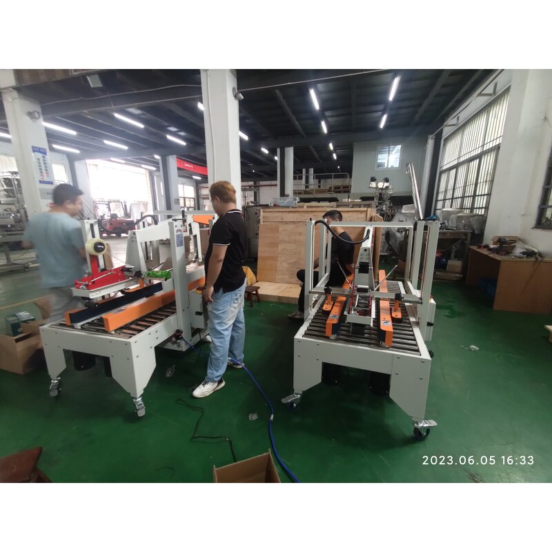 Case Sealer Manufacturer - Double Column Flaps Folding