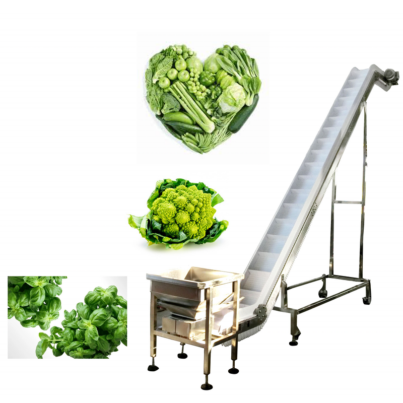 Belt Elevator Manufacturer - Food Grade Washable Cleat Belt