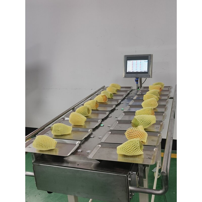 Combination Weigher Manufacturer - Semi Auto for Tomato Potato