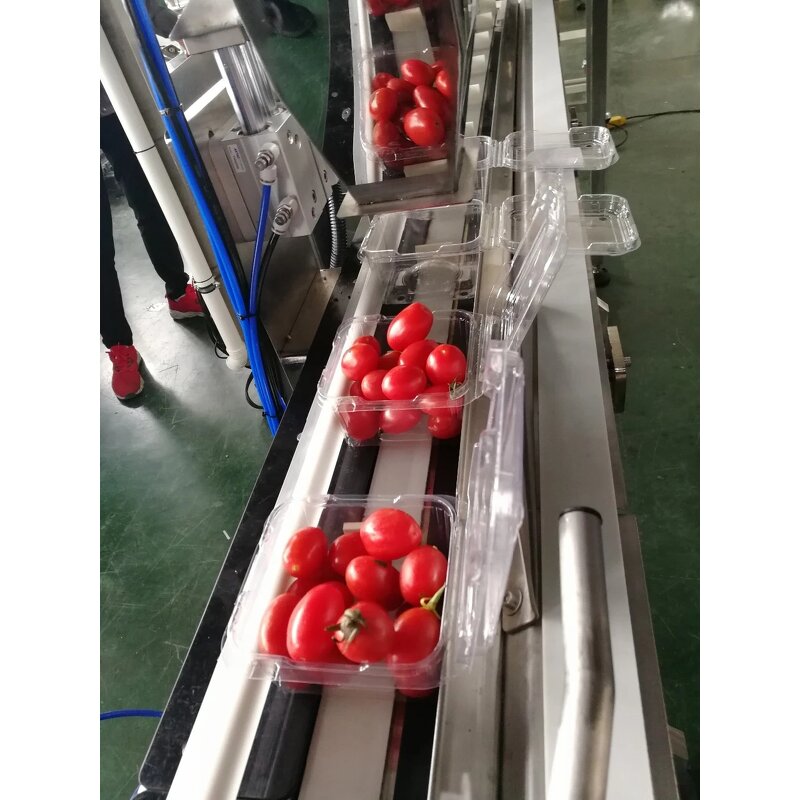 Packaging Machine Supplier - Full Auto Fruit Clamshell Filler