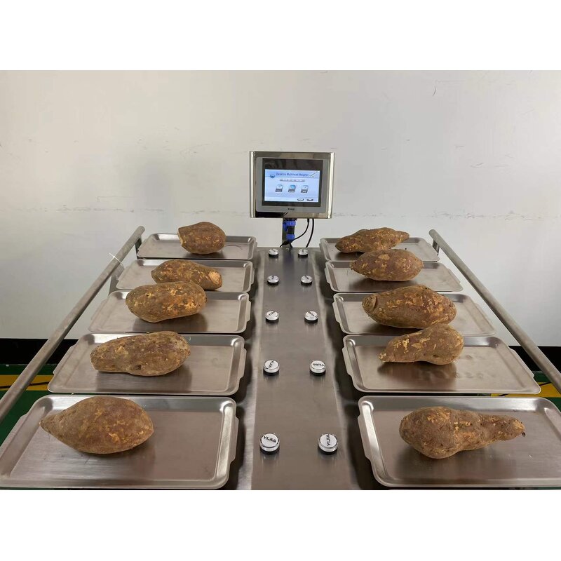 Combination Weigher Manufacturer - Semi Auto for Tomato Potato