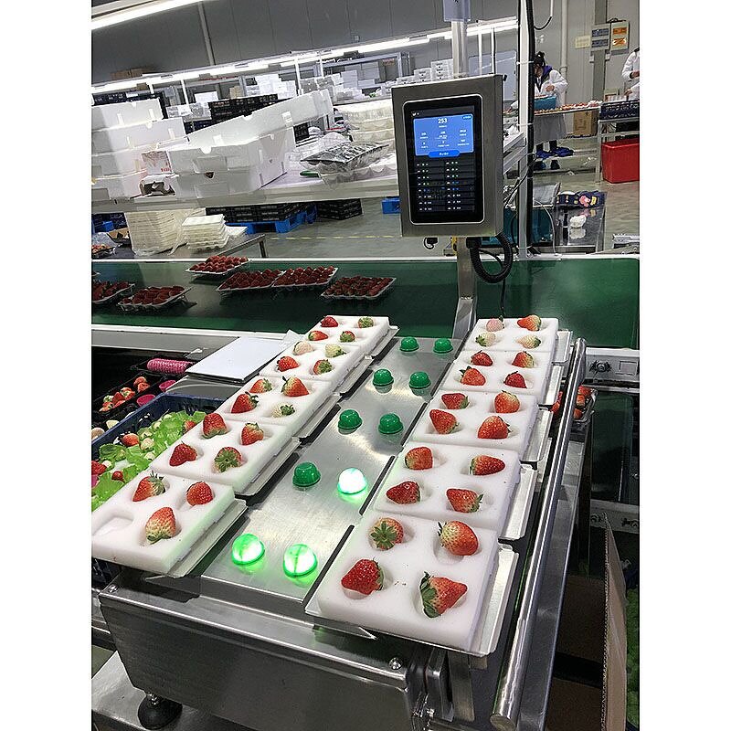 Combination Weigher Manufacturer - Semi Auto for Tomato Potato