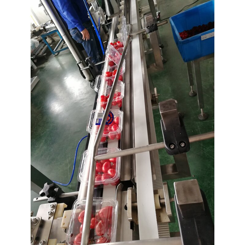 Packaging Machine Supplier - Full Auto Fruit Clamshell Filler