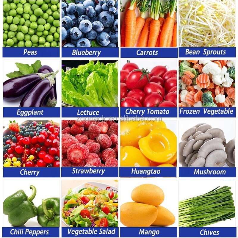 Bucket Elevator Supplier - Z Shape Vertical Lifter Mobile