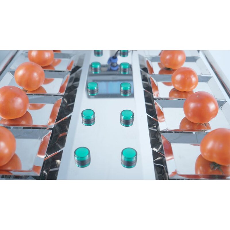 Combination Weigher Supplier - 12/14/18 Head for Fruits Vegetable