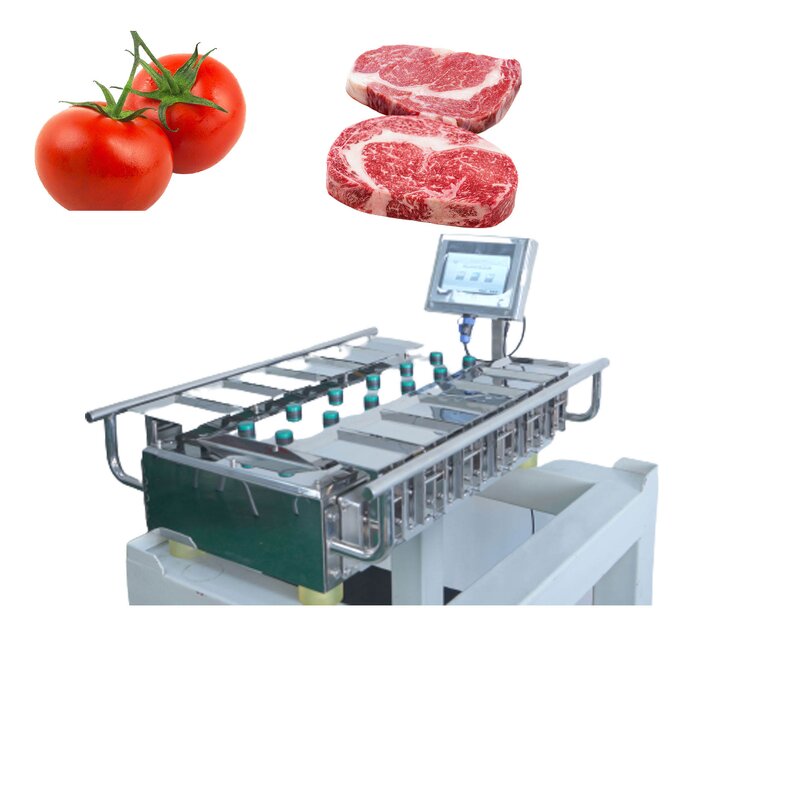 Combination Weigher Factory - Manual Multihead for Frozen Meat