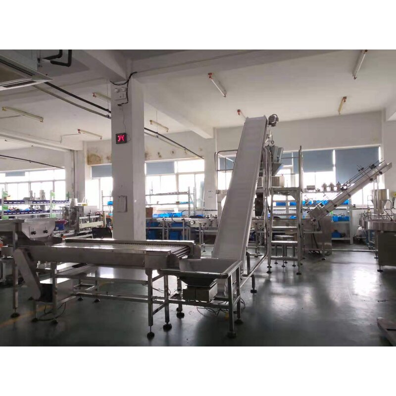 Incline Conveyor Manufacturer - Automatic Industrial Fruit