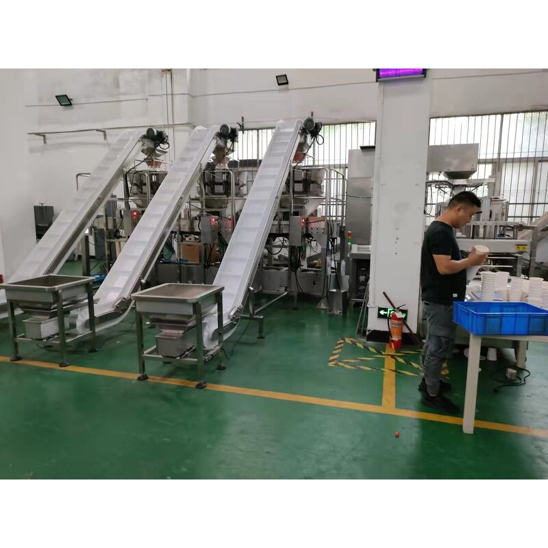 Belt Conveyor Factory - Incline Adjustable Slider Feeder