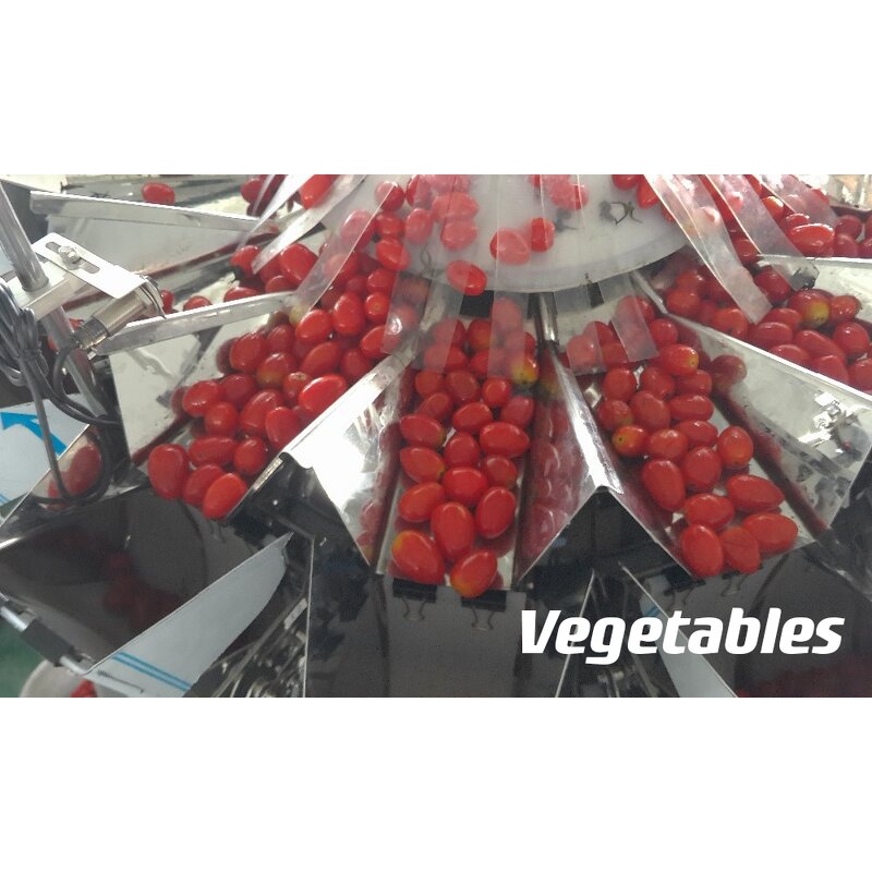 Multihead Weigher Factory - Automatic 10 Head for Snacks Fruits