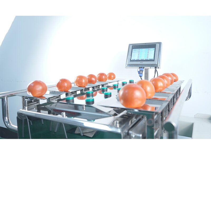 Combination Weigher Manufacturer - Semi Auto for Tomato Potato
