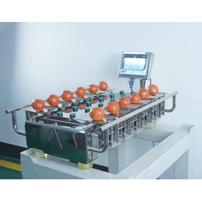 Combination Weigher Factory - Manual for Fruits Grape Tomato