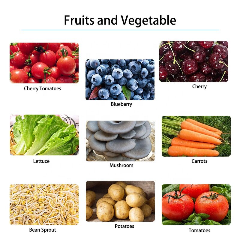 Combination Weigher Factory - Manual for Fruits Grape Tomato