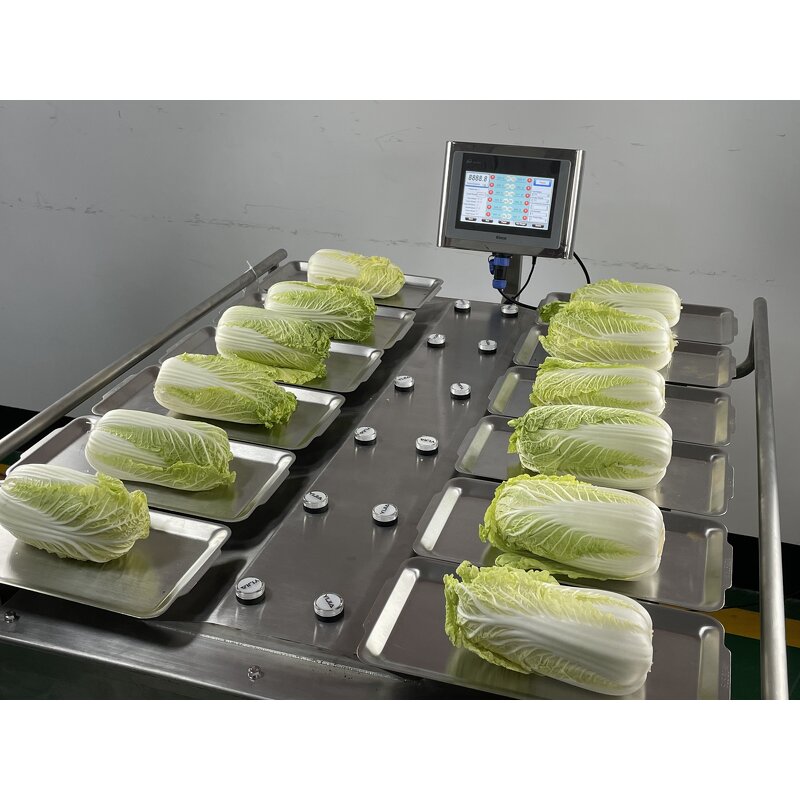 Combination Weigher Factory - Manual for Fruits Grape Tomato