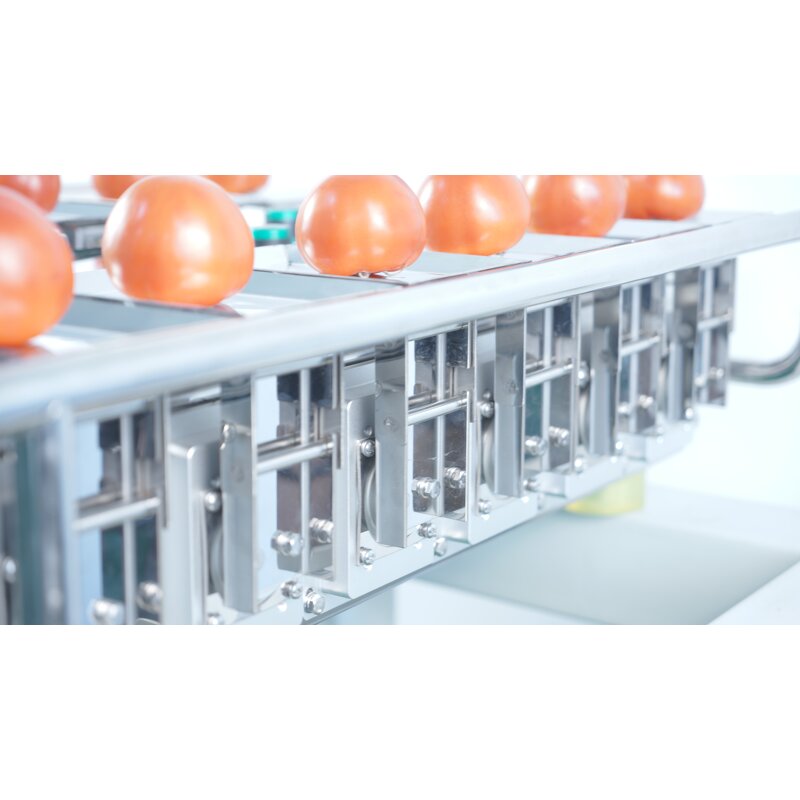 Combination Weigher Manufacturer - Semi-auto Hand Feeding Scale