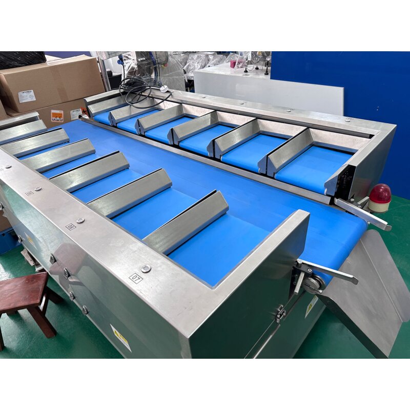 Combination Weigher Supplier - 12/14 Head Belt Manual Weigher