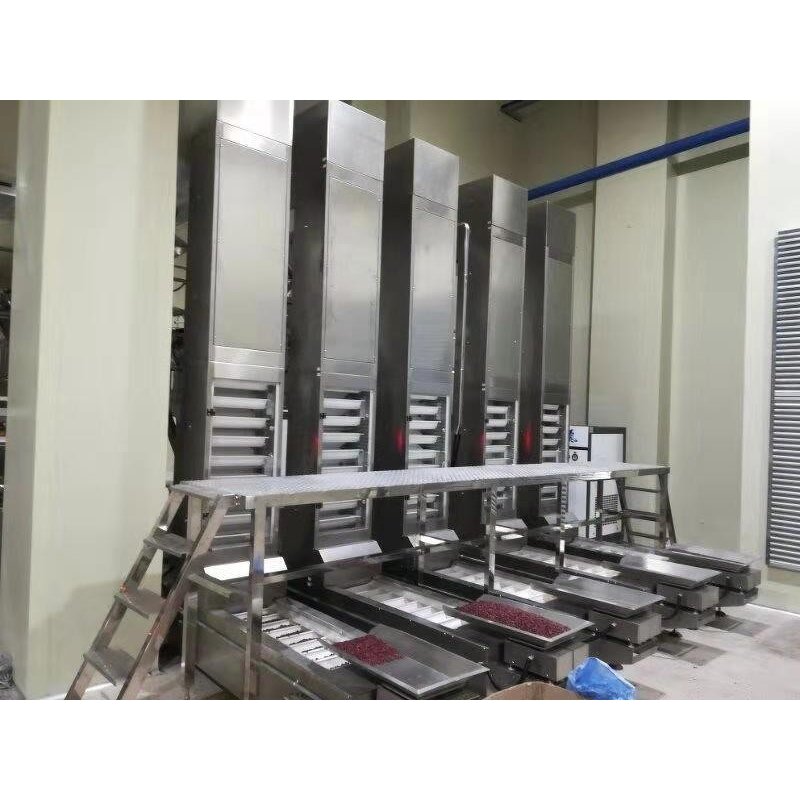 Bucket Elevator Manufacturer - 1.8L Food Grade Z Elevator