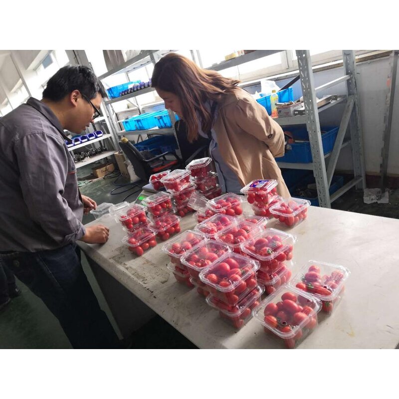 Multihead Weigher Factory - Automatic Cherry Tomato Packing