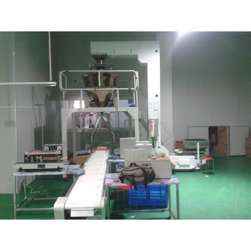 Packaging Machine Factory - Raisin Filling Semi-automatic