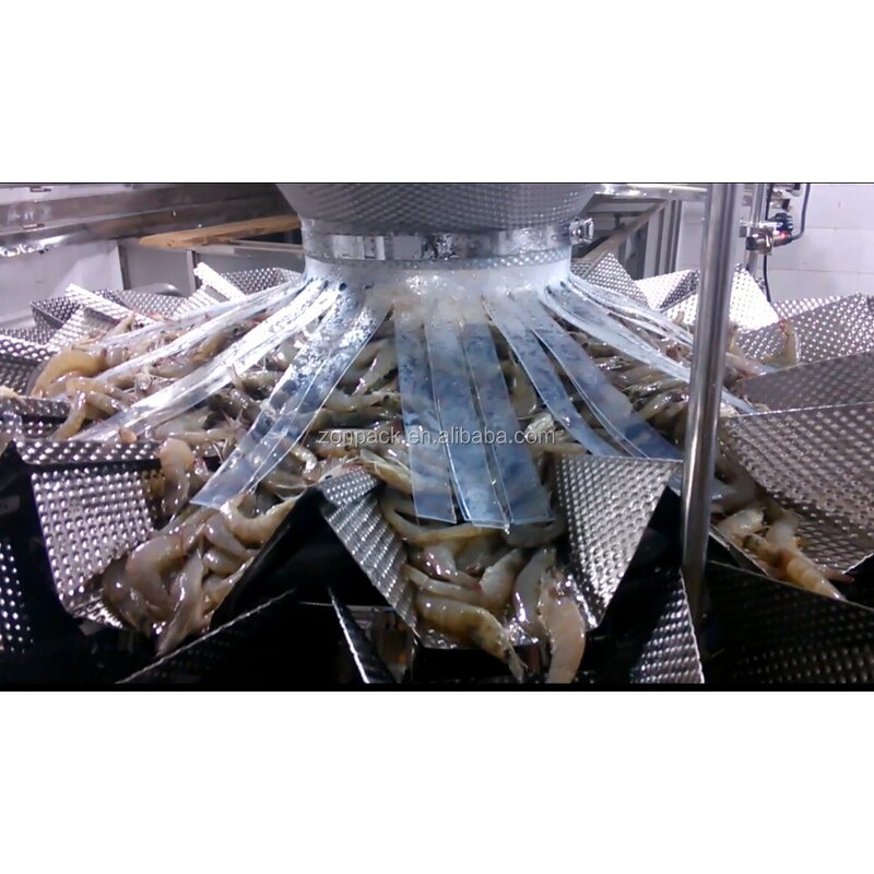 Multihead Weigher Factory - Frozen Food Pouch Packing Machine