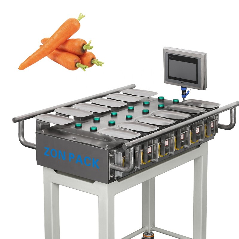 Combination Weigher Manufacturer - Multi Head Belt Conveyor