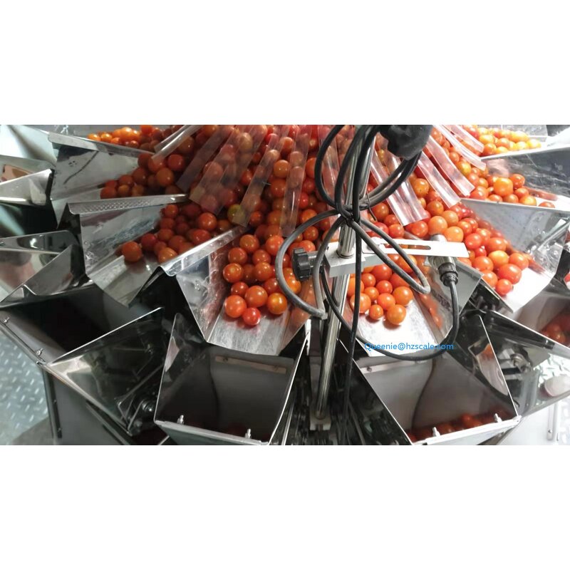 Packing Machine Manufacturer - Fruit Punnet Filling Weigher