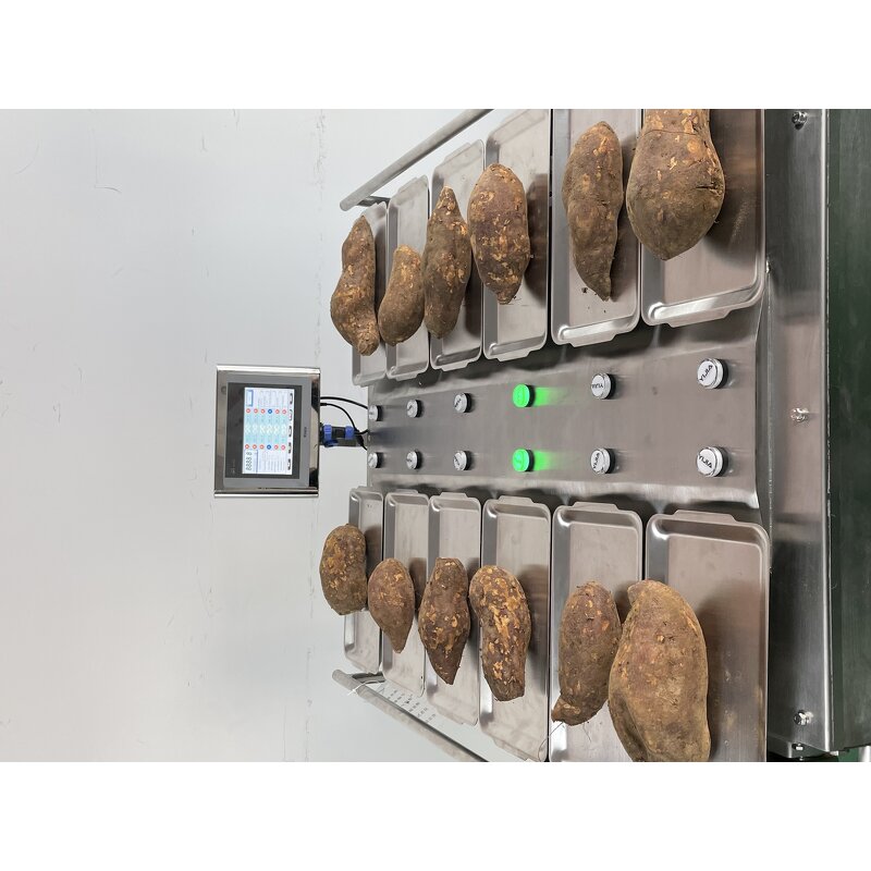 Combination Weigher Supplier - Semi-auto 12 Plate Scale