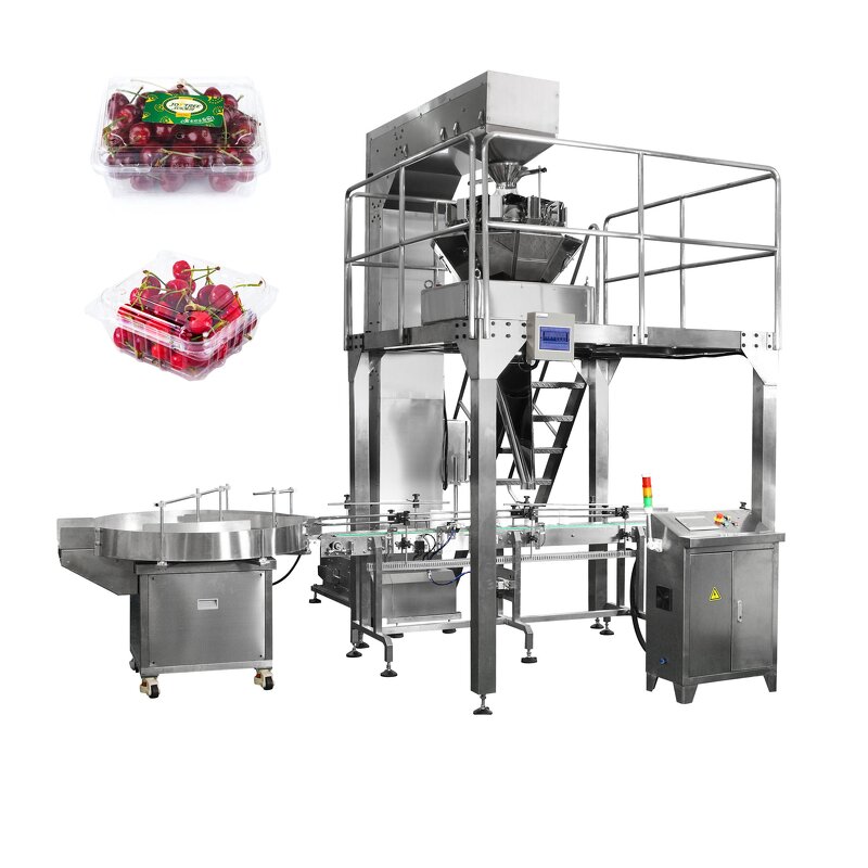 Packaging Machine Factory - Automatic Cherry Tomato Clamshell