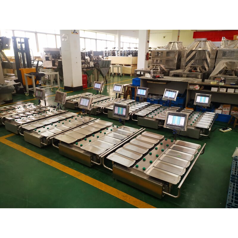 Combination Weigher Factory - Manual Multihead for Frozen Meat
