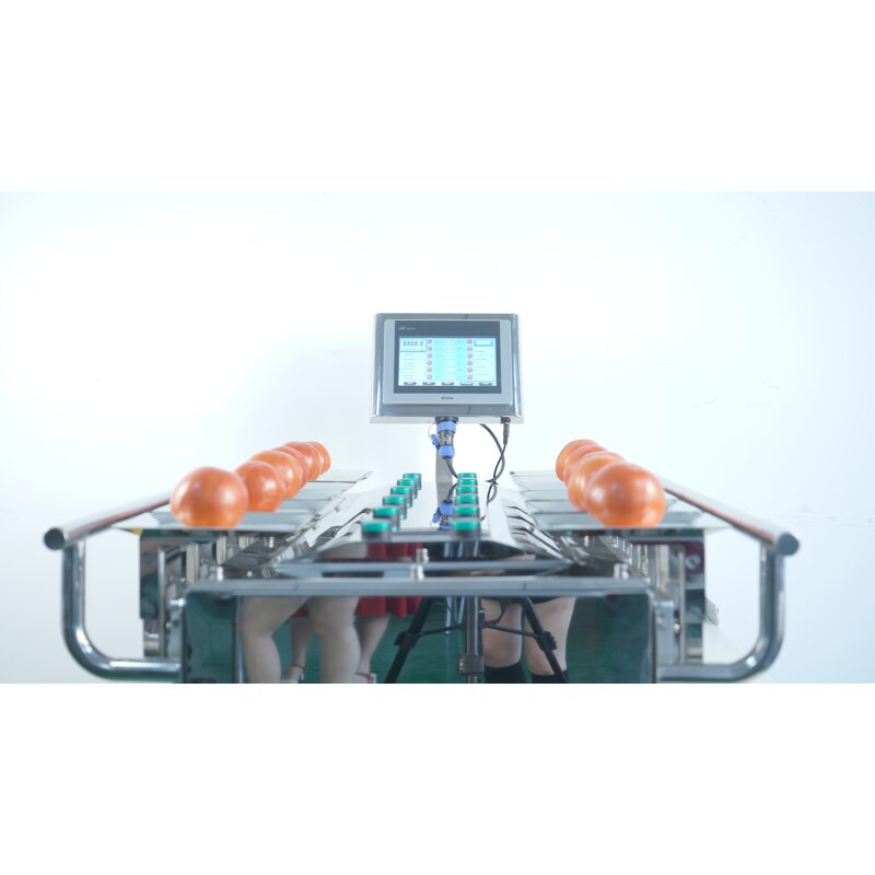Combination Weigher Supplier - Manual Fruit Check Weigher