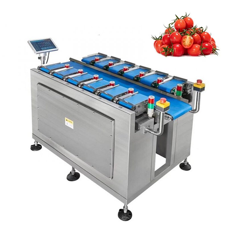 Combination Weigher Supplier - Semi-auto 12 Plate Scale