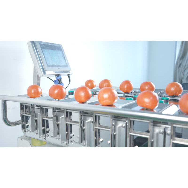 Combination Weigher Supplier - Manual Fruit Check Weigher