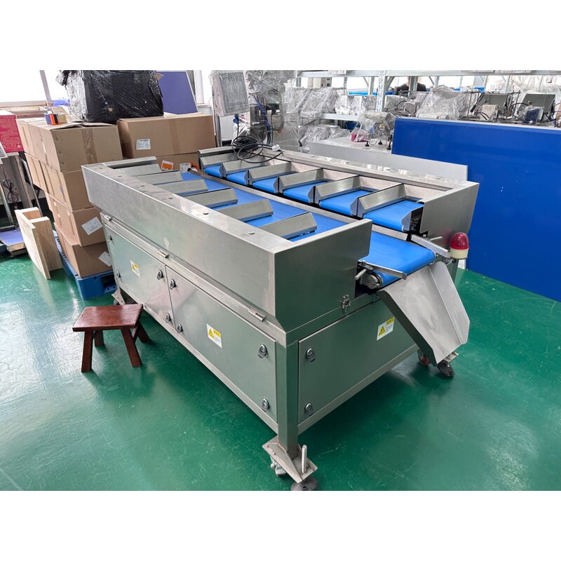 Combination Weigher Manufacturer - 12/14 Head Manual Belt Conveyor