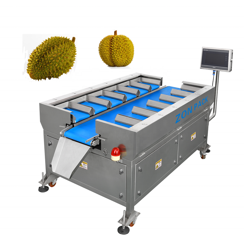 Combination Weigher Factory - Manual Multihead for Frozen Meat