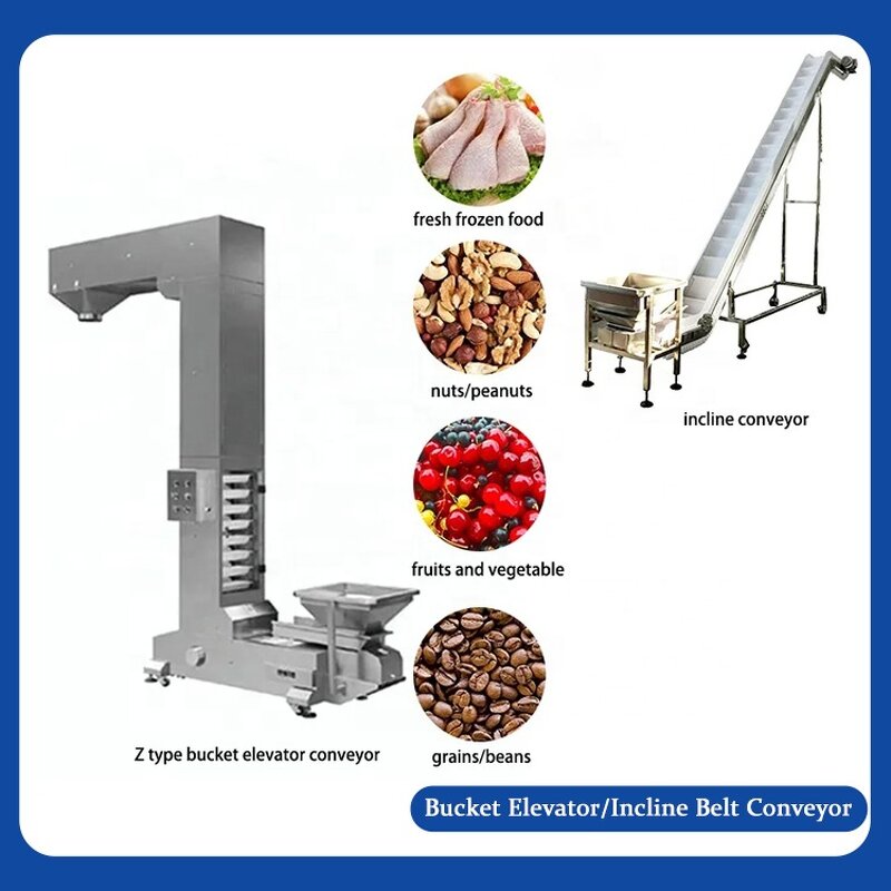 Conveyor Supplier - Take Away Incline Chain Belt