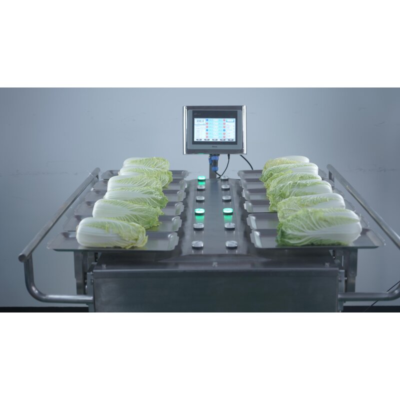 Combination Weigher Factory - 12/14 Head Manual for Vegetables