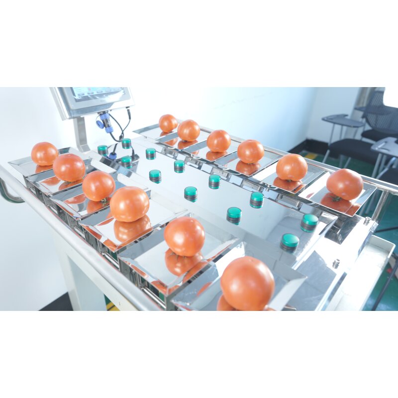 Combination Weigher Manufacturer - Semi-auto Hand Feeding Scale