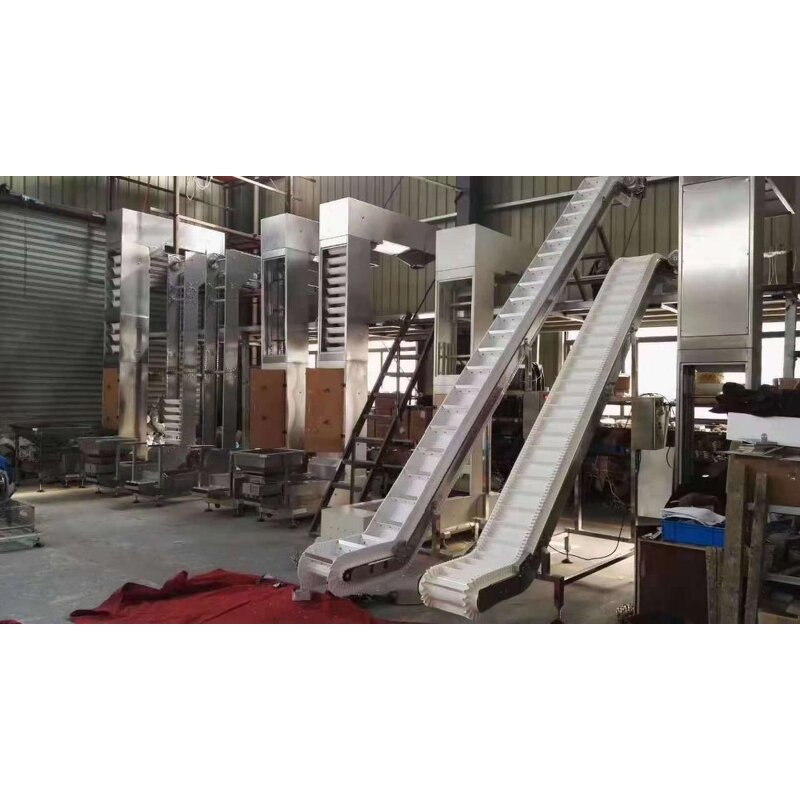 Inline Conveyor Supplier - Food Grade Cherry Fruit