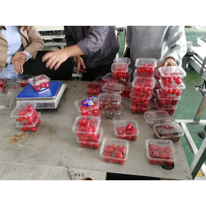 Packaging Machine Supplier - Full Auto Fruit Clamshell Filler