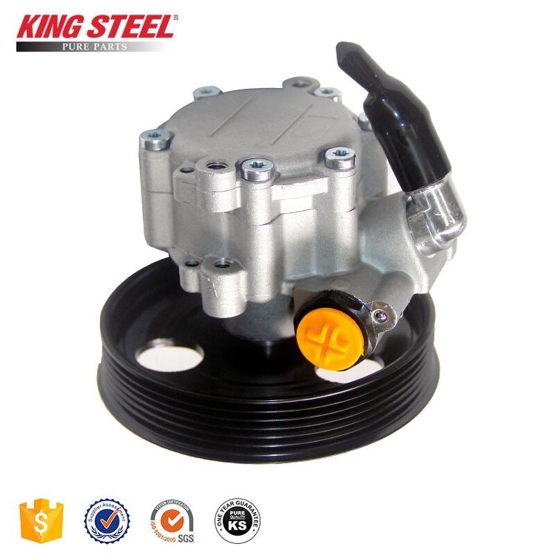Power Steering Pump Factory - Renault Duster OEM