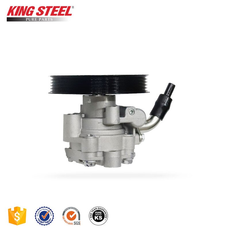 Power Steering Pump Factory - Mitsubishi L200 OEM