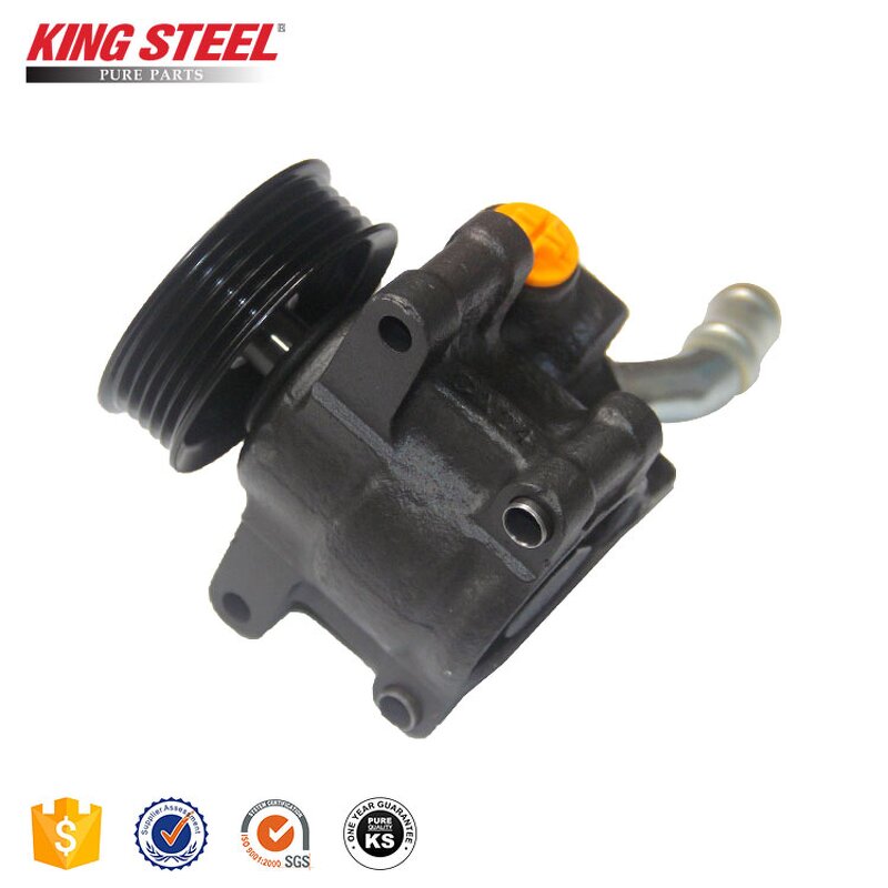 Power Steering Pump Manufacturer - Ford Fiesta OEM