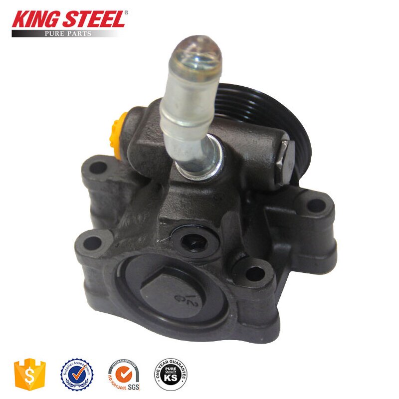 Power Steering Pump Manufacturer - Ford Fiesta OEM
