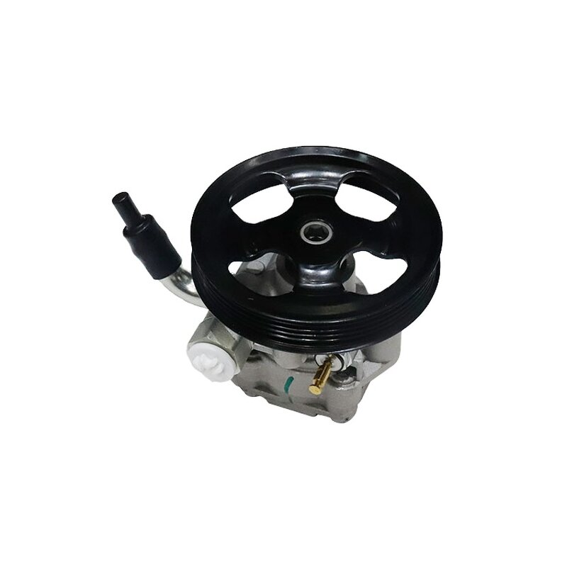 Power Steering Pump Factory - Mitsubishi L200 OEM