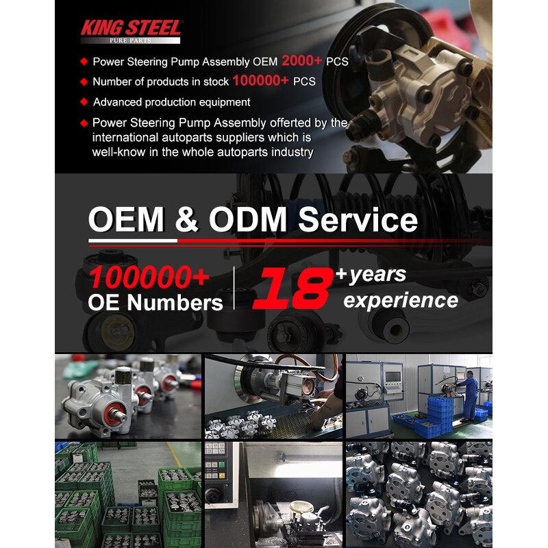 Power Steering Pump Factory - Renault Duster OEM