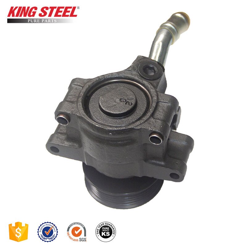 Power Steering Pump Manufacturer - Ford Fiesta OEM